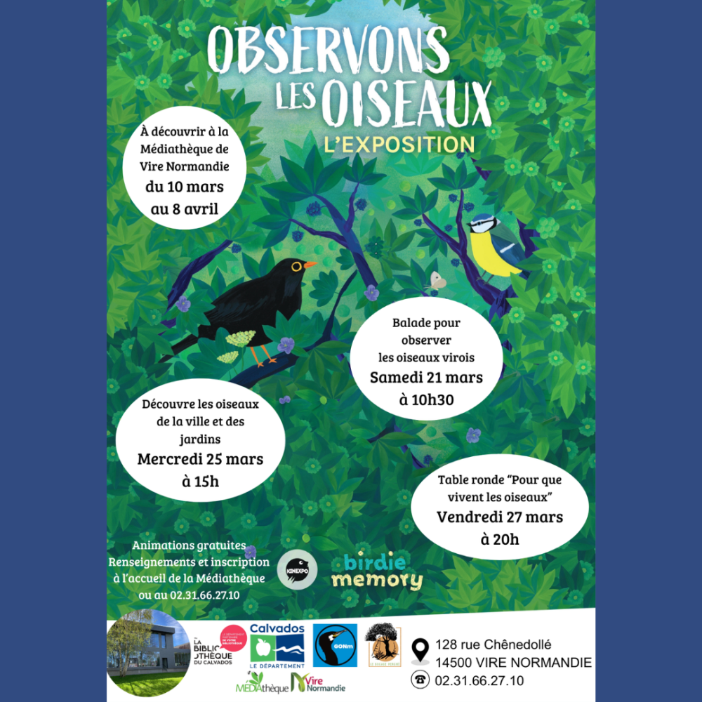 Oiseaux